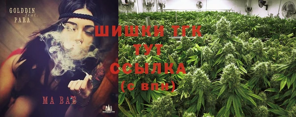 хмурый Пестово