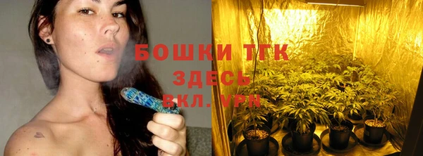 гидропоника Пересвет