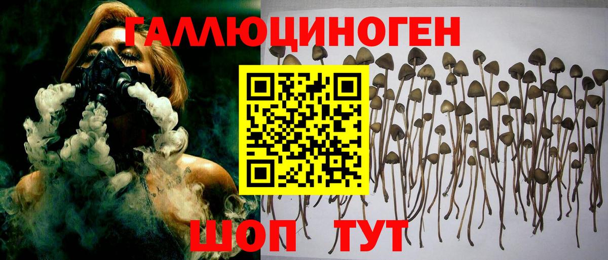 Псилоцибиновые грибы MAGIC MUSHROOMS Морозовск